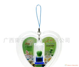 活體植物工藝品 獨(dú)特圣誕禮品的新穎選擇